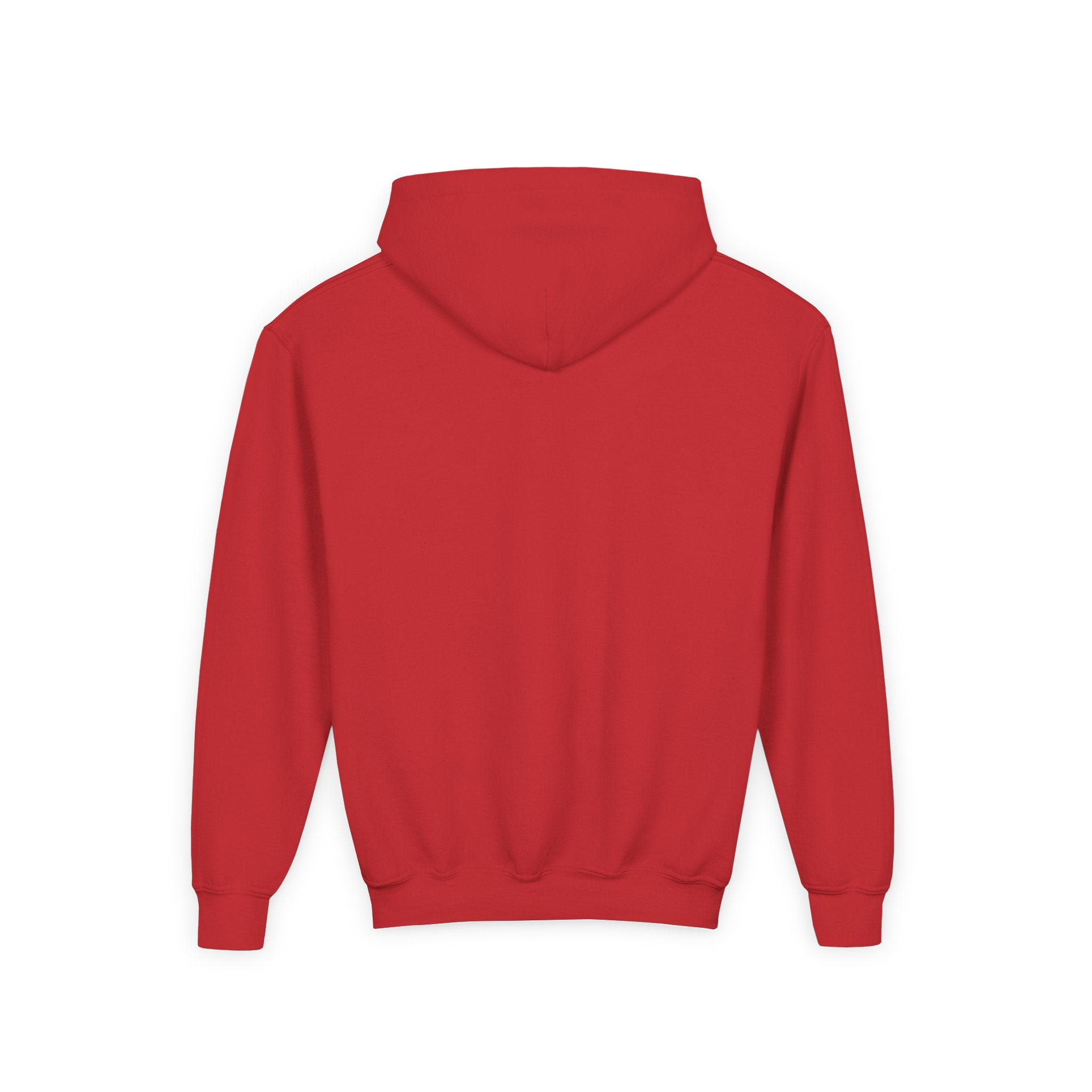 Youth Christmas Hoodie with Santa Graphic, Cozy Holiday Apparel, Perfect Gift for Kids, Winter Wear, Fun Seasonal Sweatshirt