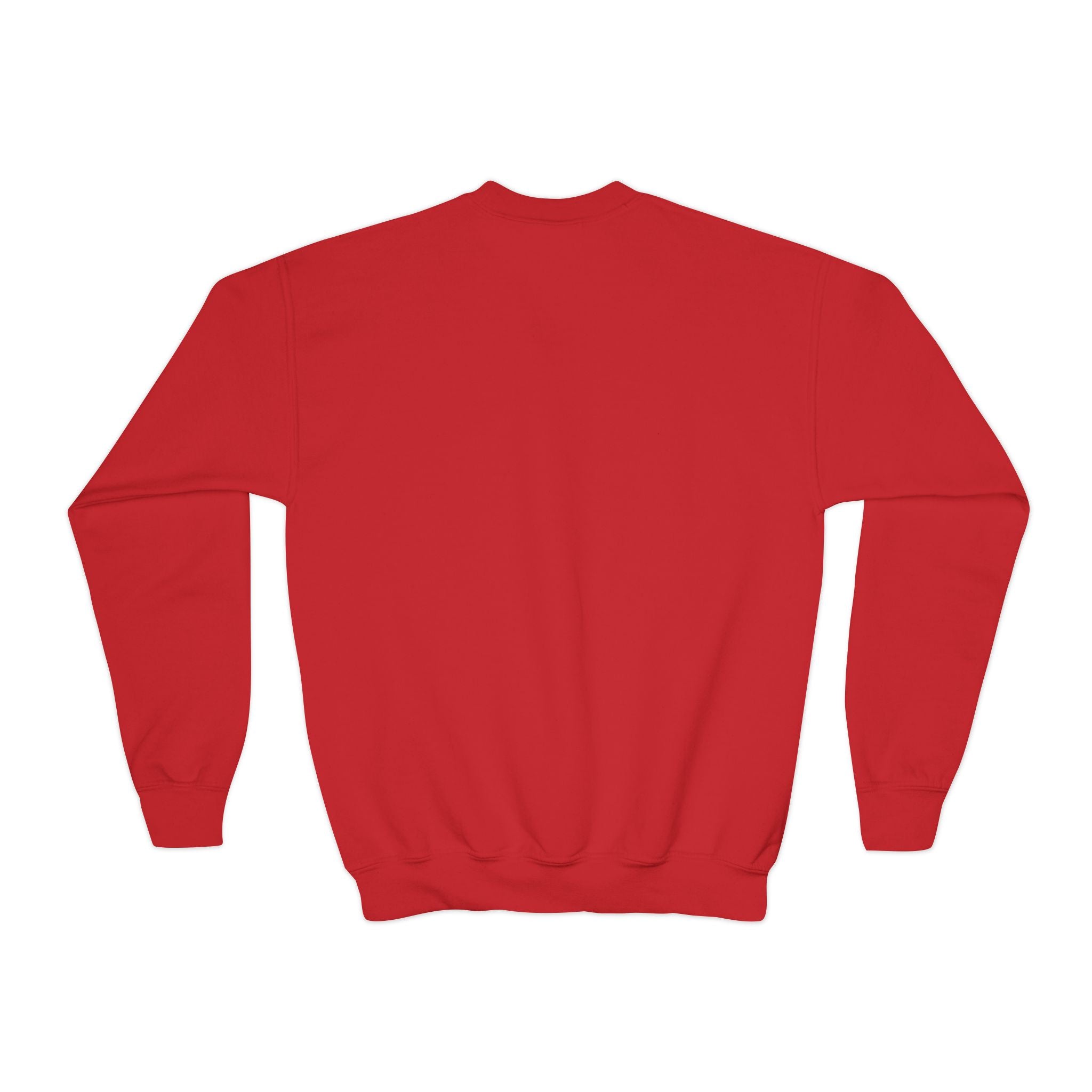 Youth Christmas Crewneck Sweatshirt, Cozy Holiday Gift, Kid's Sweater, Santa Design, Festive Sweater for Winter Celebrations